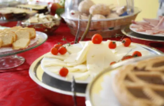 Diana Inn Accommodations