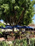 Pofadder Hotel - Parking