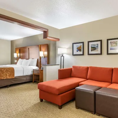 Comfort Suites Grand Rapids North Hotels near Greyline Brewing Co.