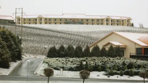 Turners Vineyard Motel in Orange