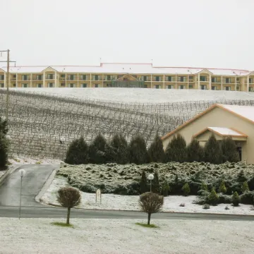 Turners Vineyard Motel