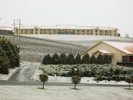 Turners Vineyard Motel Отели рядом с достопримечательностью «Millthorpe Wine Centre»