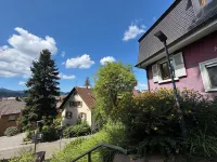 Romantic gem, Black Forest & Europapark