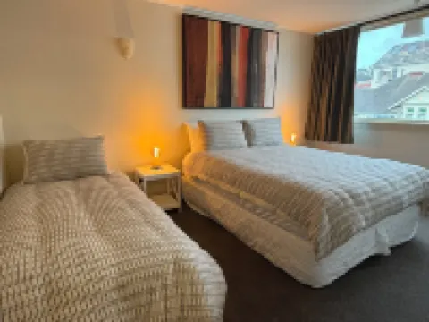 แมเนอร์ ออน เดอะ พาร์ค แบ็คแพ็คเกอร์ส โรงแรมในดันเนดิน