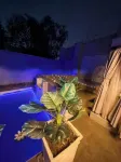 Bryanston Palms Accommodation - piscina