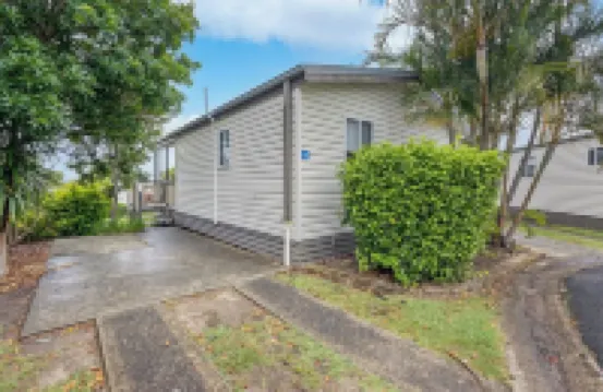 反射烏龍茶 - 假日公園