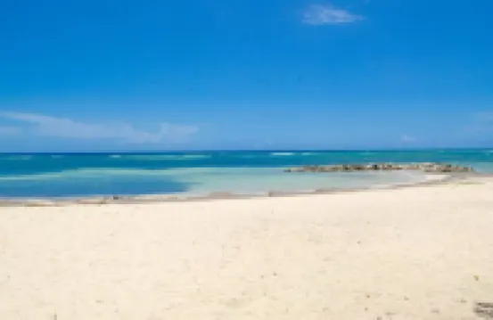 Boho-Chic Loft with Sea Views in Montego Bay