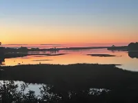 Walking the gulf trails!