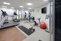 Embassy Suites by Hilton Detroit Troy Auburn Hills - Gym