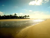 Beach house with pool for 13 people, 8500m2 plot of Atlantic Forest