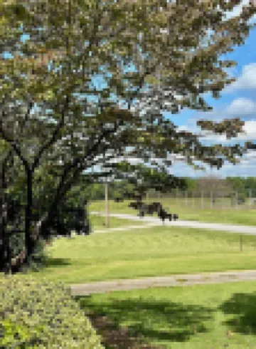 The Grandview: Luxe Home w Mountain Views Hotels in Travelers Rest