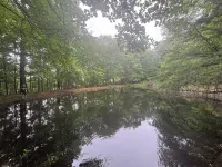 Mountain Retreat with Pool and Pond nestled on 15 acres!  Sleeps up to 14! - 4-Star