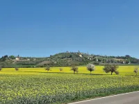 Vacation with a winegrower in the Saale-Unstrut valley!