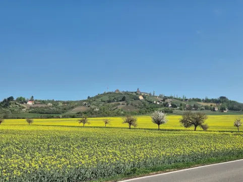 Vacation with a winegrower in the Saale-Unstrut valley!
