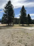 Cabin on Little Creek