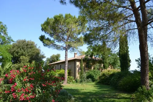 Holiday, where Tuscany is still authentic. 16th c. Villa, Infinity Pool: Ginepro