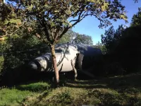 A different experience in a plane lost in the Colombian forest Hotels in La Calera