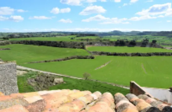 Cal Guineuet- Rural house in a natural and quiet environment