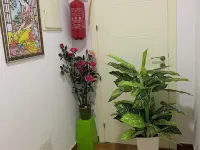 Suite Lujoso con Chimenea Patio y Garage Privado Hotels in Daimiel