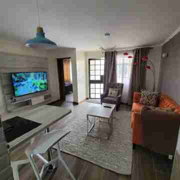 3 bedroom fully furnished flat Others