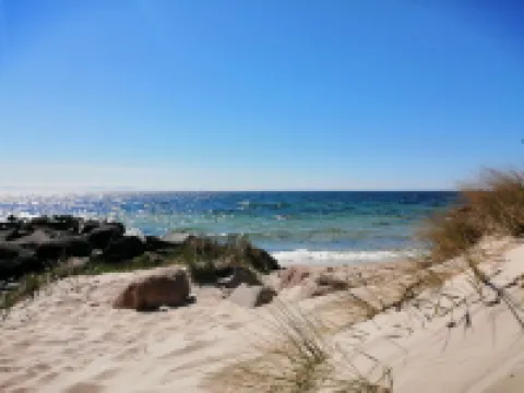 "Wilgrib" - 50m from the sea