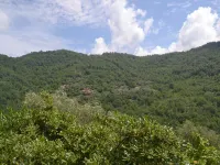 Nature Retreat in Testico Hotel a Testico