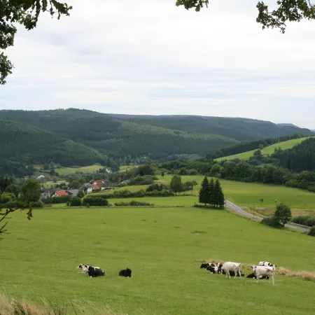 Bungalow in Eifel near Mountain Trails