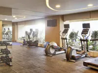 金奈OMR 諾富特飯店 - 健身房
