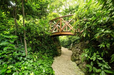 ホテル周辺 グランド ホテル デイ ドージ ザ デェディカ アンソロジー オートグラフ コレクションの写真