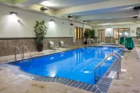 Holiday Inn & Suites BLOOMINGTON-AIRPORT by IHG - Pools