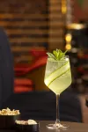 Hotel des Indes the Hague - bar