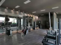 Caesar Business Belo Horizonte Belvedere - gimnasio