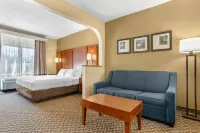 舒適套房飯店-塔拉哈西市區