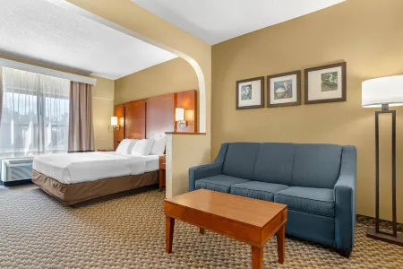 Comfort Suites Tallahassee Downtown