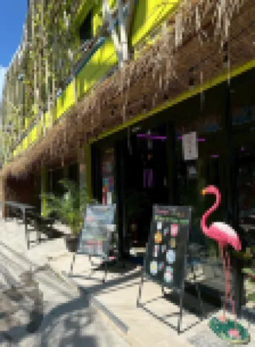 迪斯科動物園酒吧和旅館