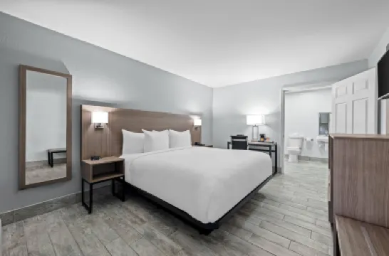 Econo Lodge Daytona Beach - Speedway Hotels in Volusia County