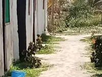 Babalao Beach Resort  Backpackers & Tent Hotels in Malindi