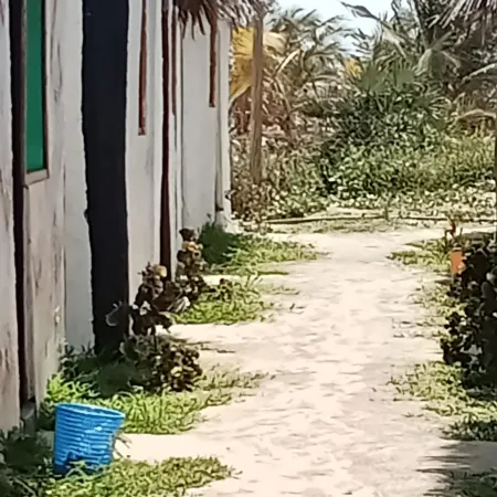 Babalao Beach Resort  Backpackers & Tent