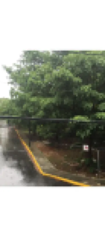 Cancún Hotel Boutique & Hostel