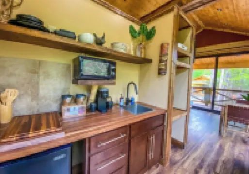 Kilimanjaro Safari Treehouse at Four Fillies Lodge