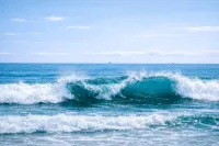 Yangyang Cohost Studio