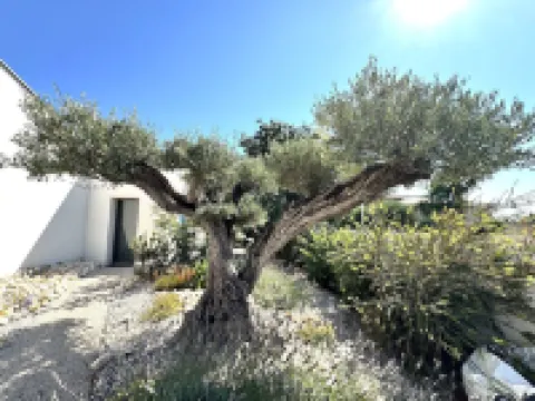 Villa Balāo - Guesthouse Men Only - LGBT