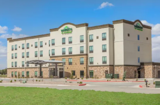 Wingate by Wyndham Lubbock Near Texas Tech Univ. Medical Ctr Hotels in Lubbock County
