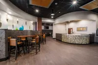 Drury Plaza Hotel New Orleans - bar