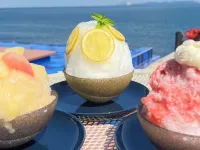 Ikoinoyado Ako Haitsu Hotels in Akō