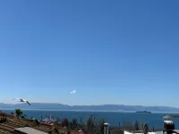 Blue Sea Hotel Hotels near Viaport Marina