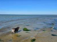 4 Star Holiday Home in Nordborg - 4 tähden