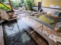Kaminomiya Onsen Kawaratei - Varme kilder