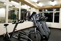 Holiday Inn & Suites WEST EDMONTON by IHG - Gym
