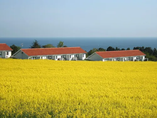 Seaside Stay in Sandkas -  Apartamentos vacacionales